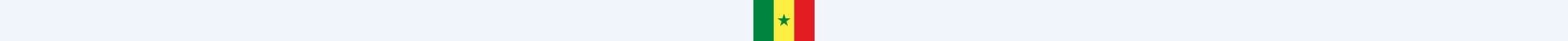Drapeau Sénégal pour du rayonnage Sénégal et rack Sénégal